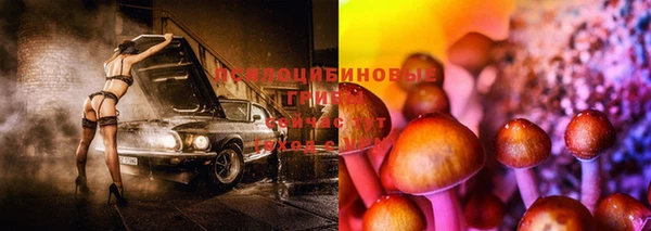 марки nbome Баксан