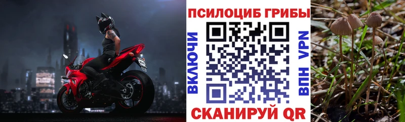 Галлюциногенные грибы MAGIC MUSHROOMS  Кушва 